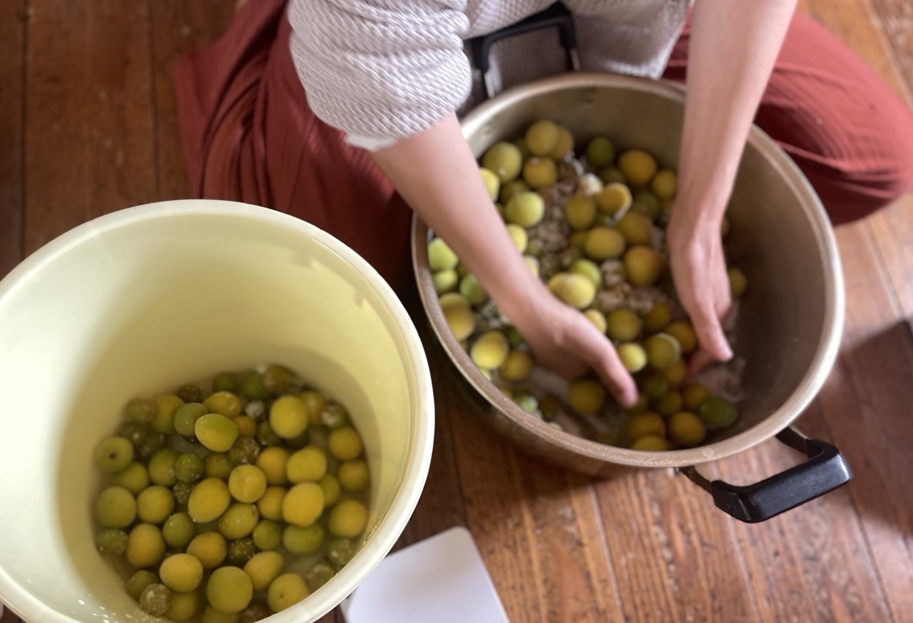 親の手仕事〜梅干し作り〜
