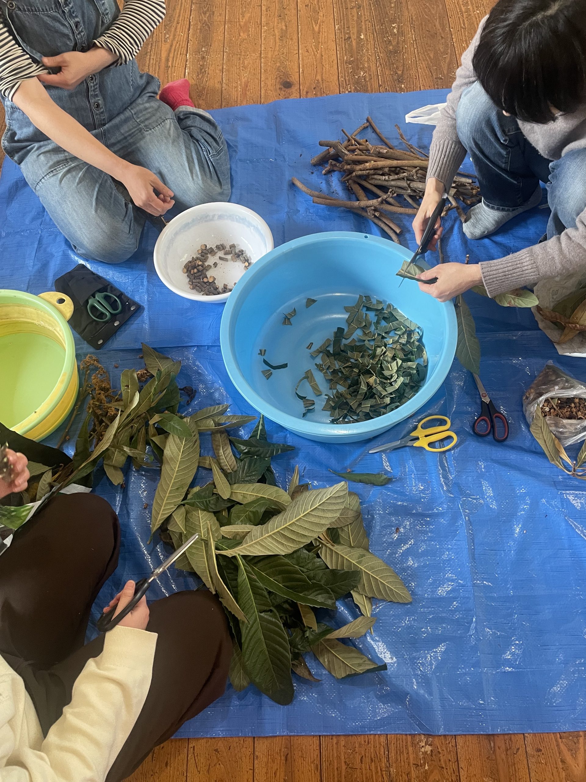 親の手仕事〜びわと自然の恵み〜