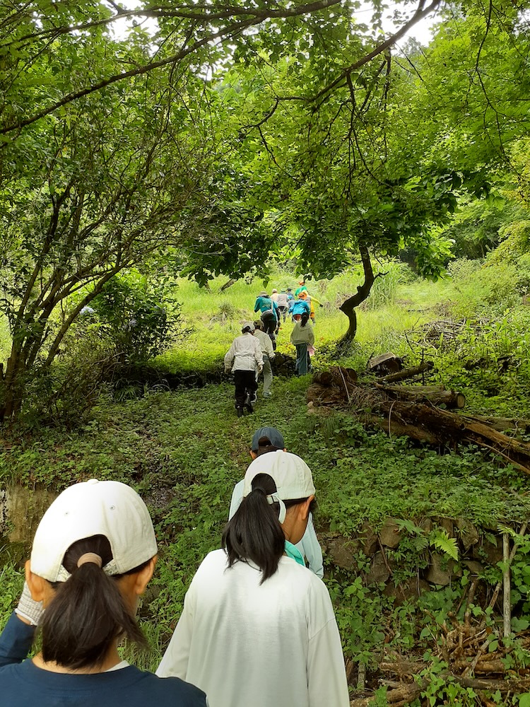 5年　檜皮葺き　山道