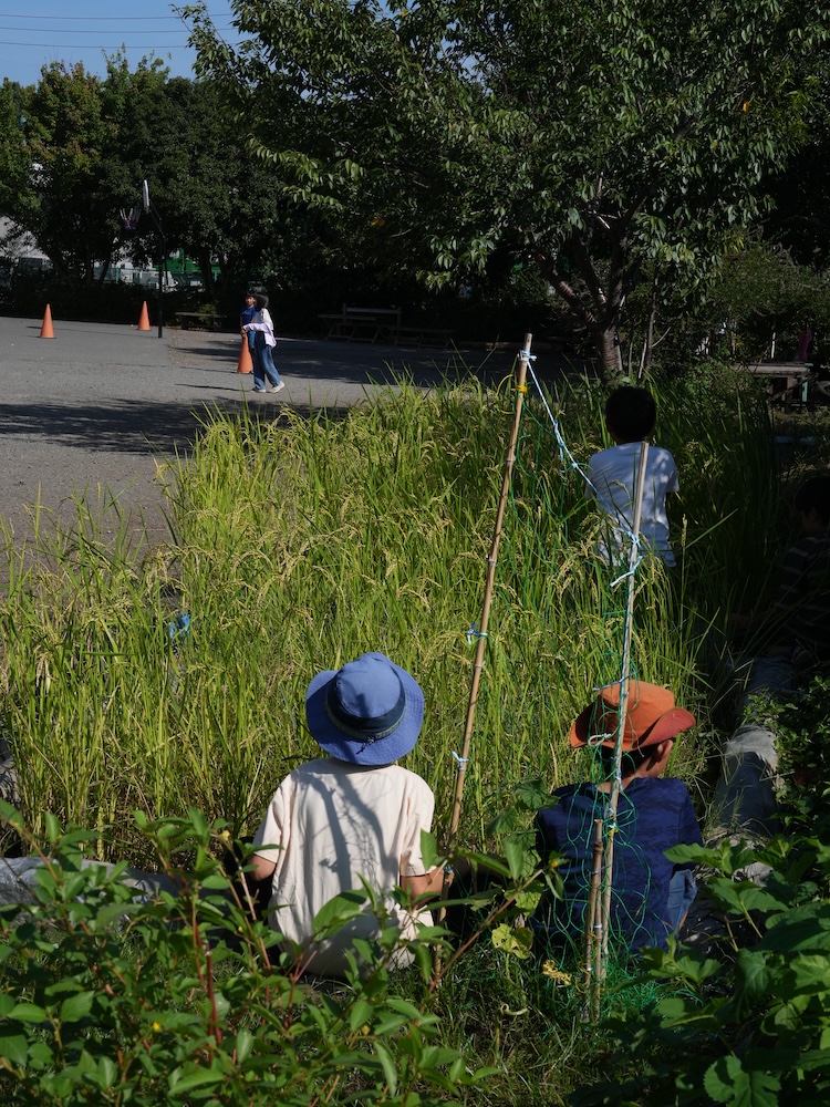 ４年生　休み時間　ポコペン４