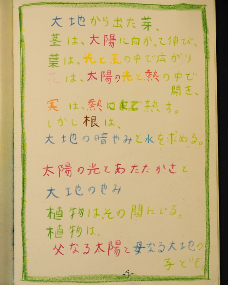 ５年　理科　植物学１　エポックノート