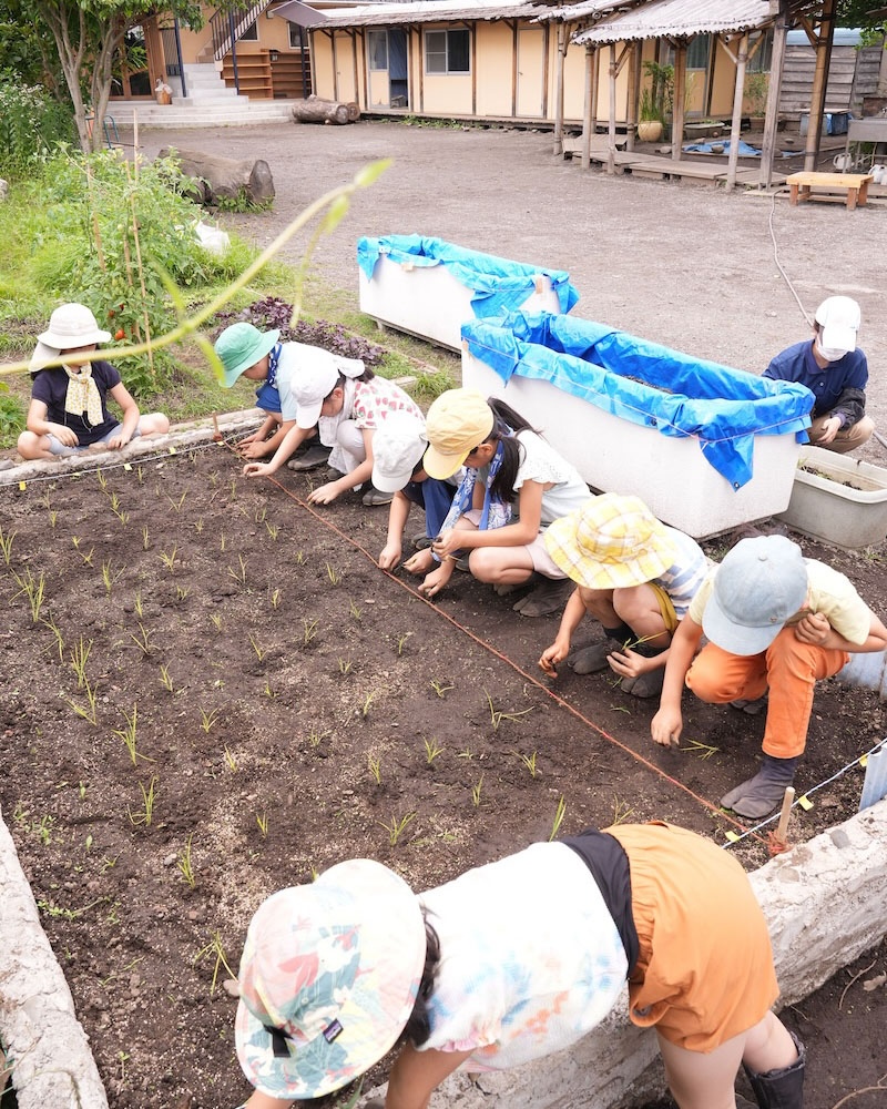 3年 田植え4