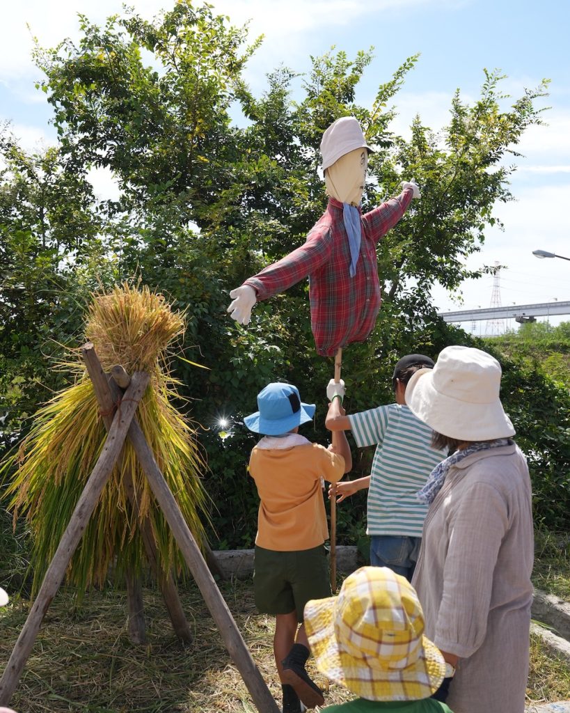 3年 稲刈り 案山子