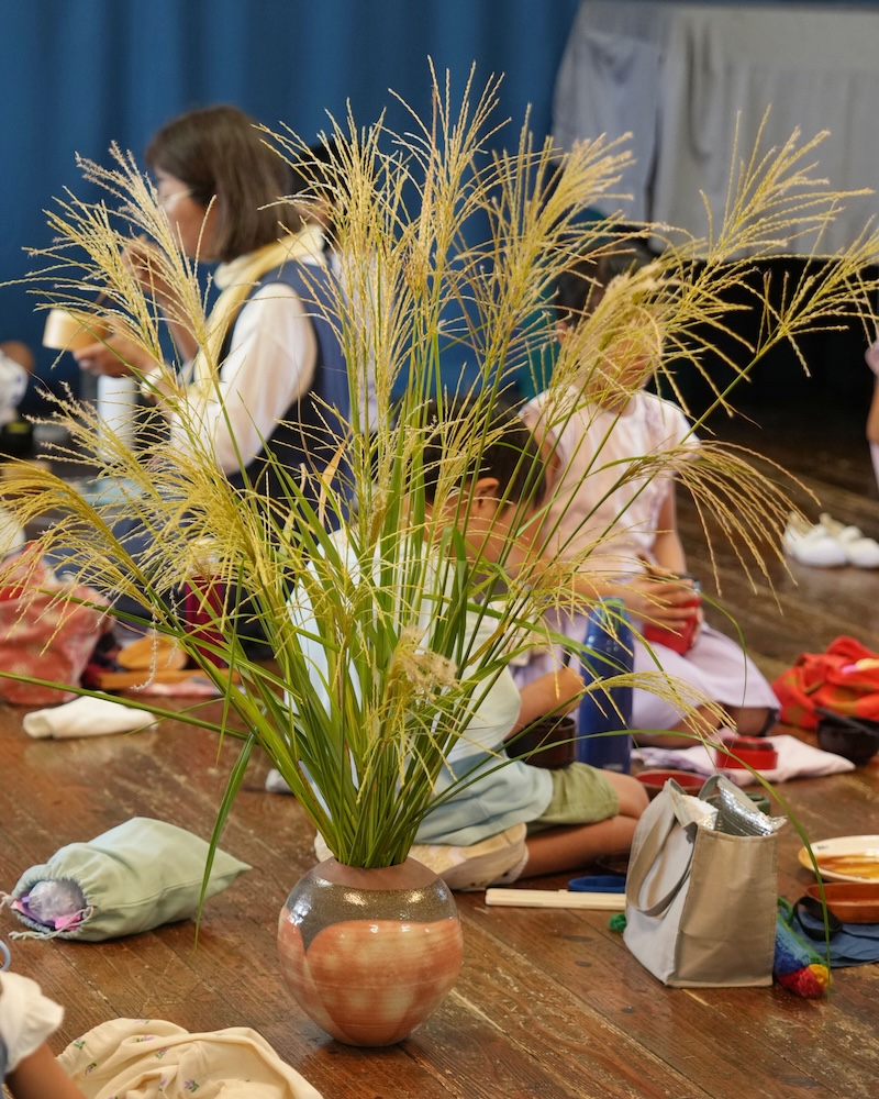 お月見の会 ススキ