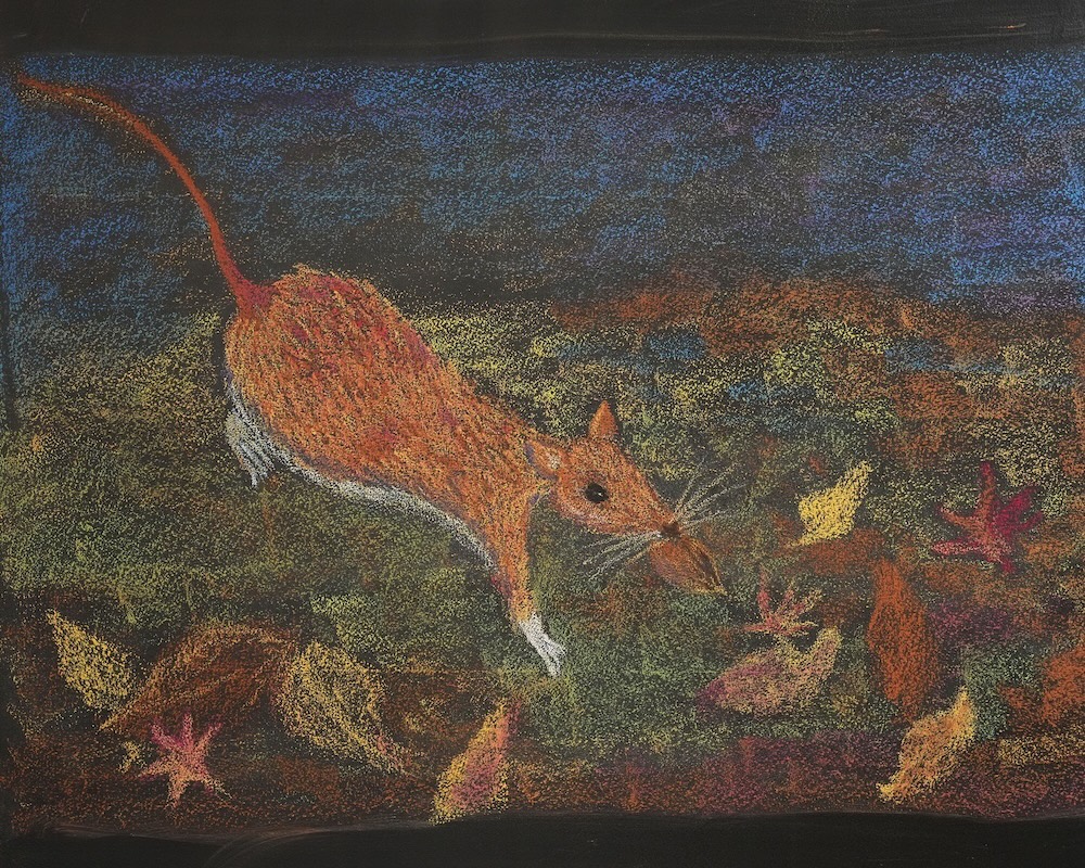 4年 動物学 黒板画 ノネズミ