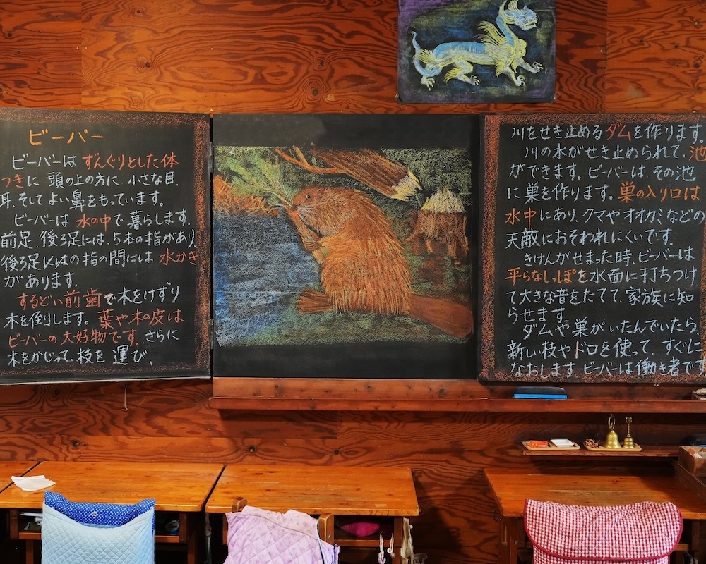 4年 動物学 黒板画 ビーバー全体