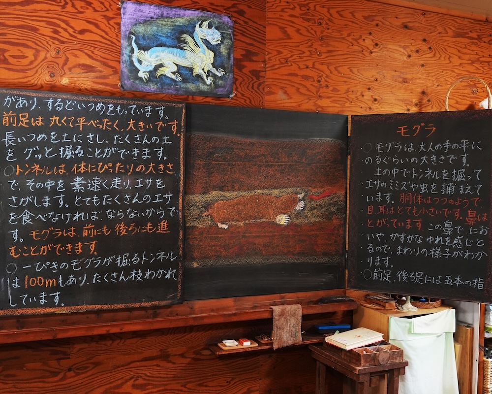 4年 動物学 黒板画 モグラ全体