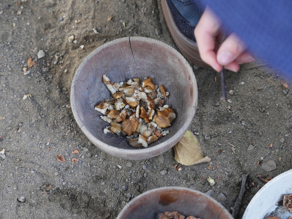 1年 胡桃4 掬い出した実