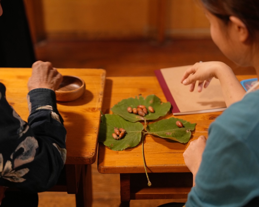 算数　模擬授業　木の実