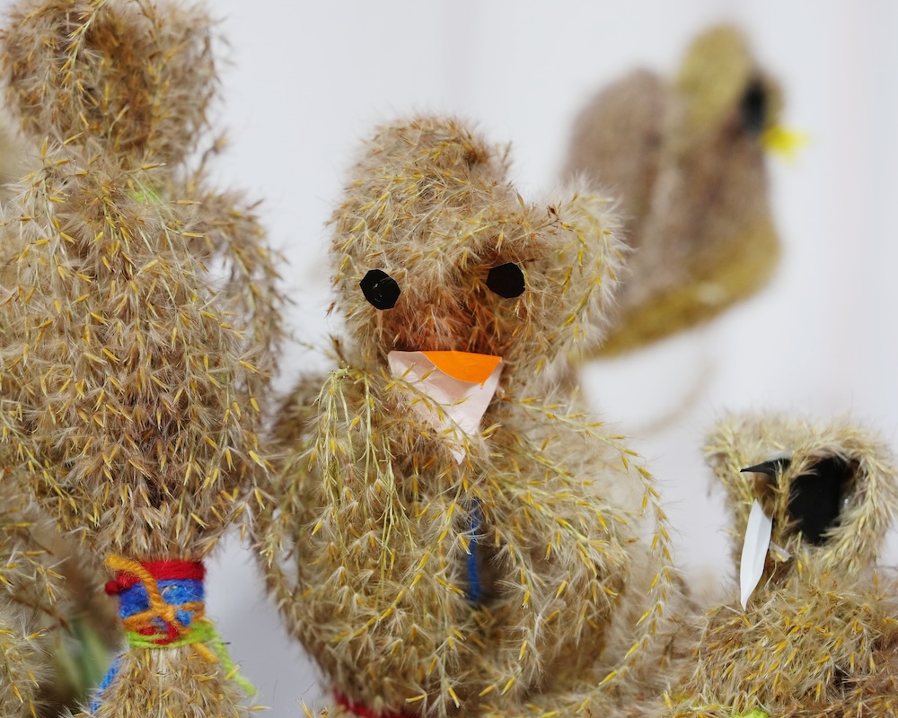 １年　フクロウ　ススキ アイキャッチ