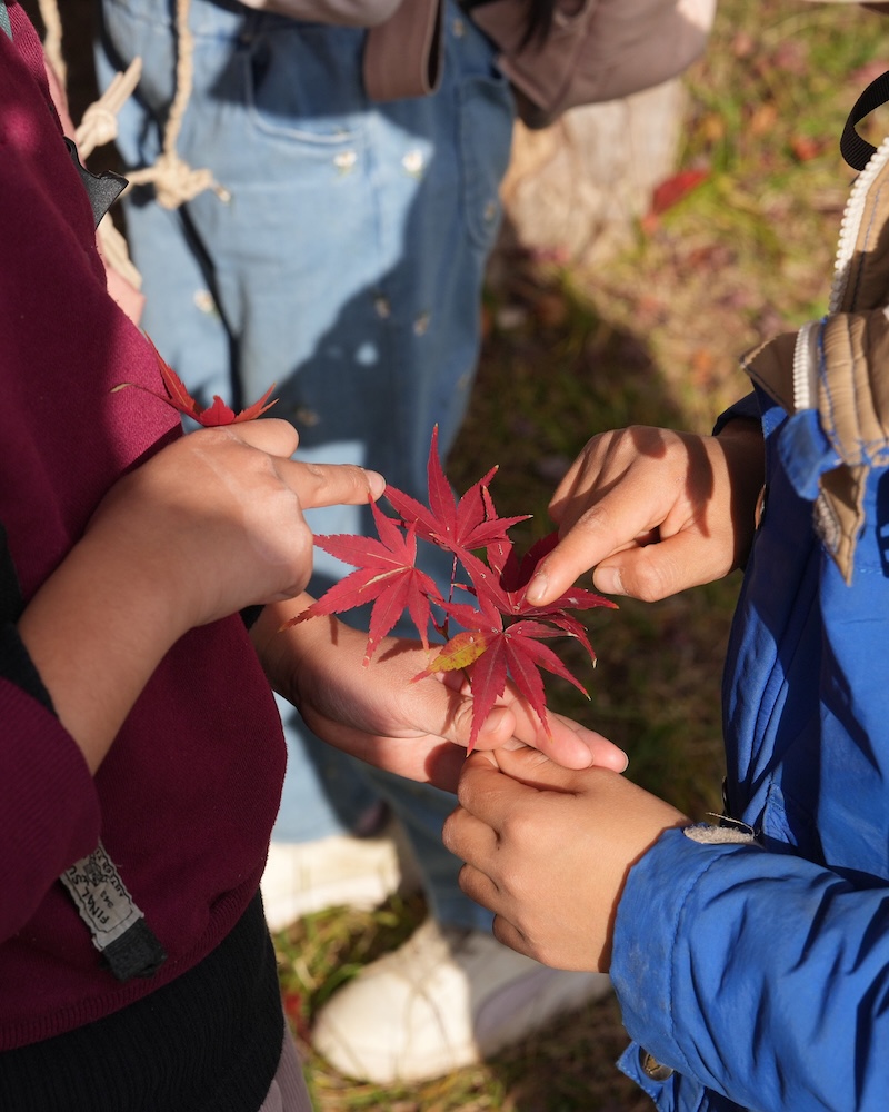 1年　お散歩　葉っぱ遊び