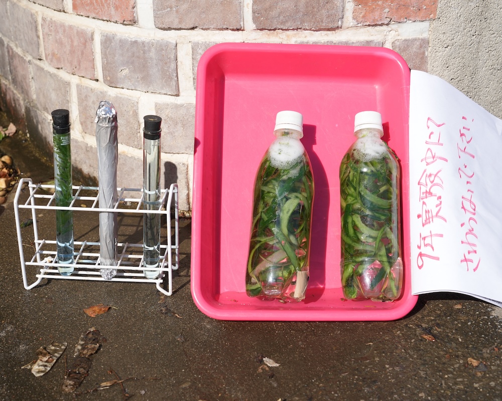 9年 化学 光合成 高等部