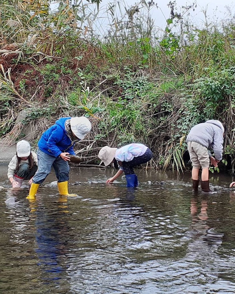 １年　お散歩　残堀川　川中で遊ぶ
