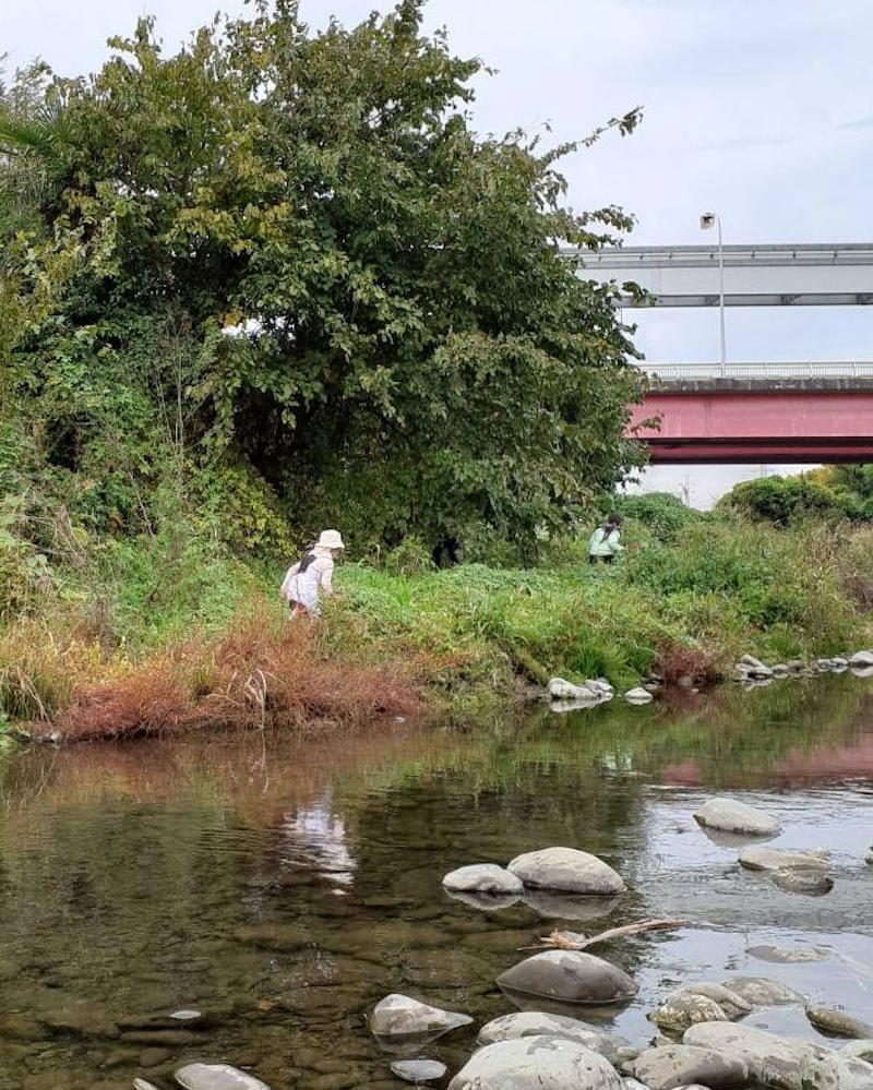１年　お散歩　残堀川　藪の中へ