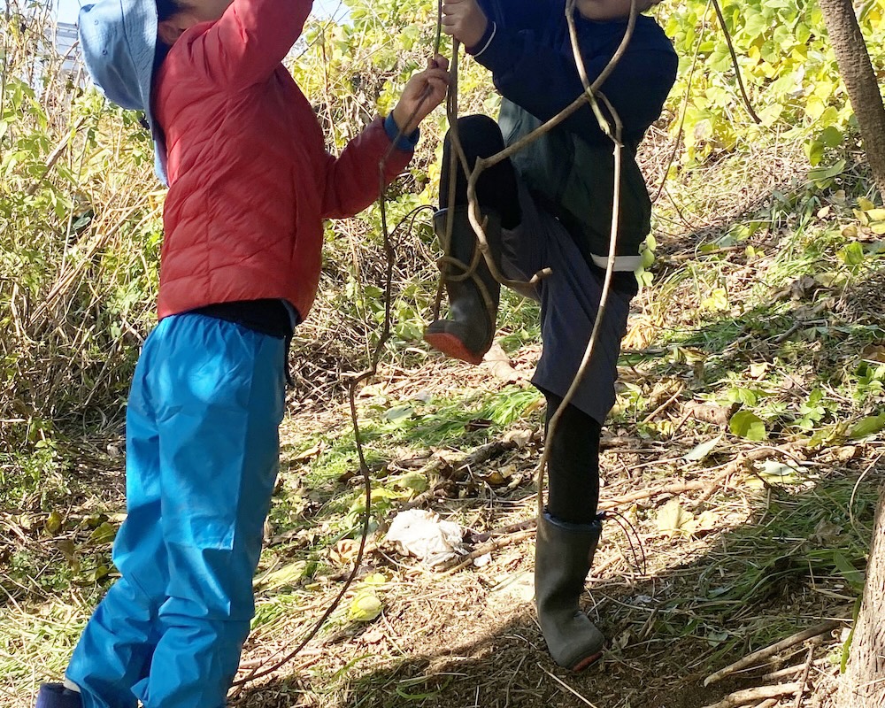 ２年　お散歩　蔓のブランコ１