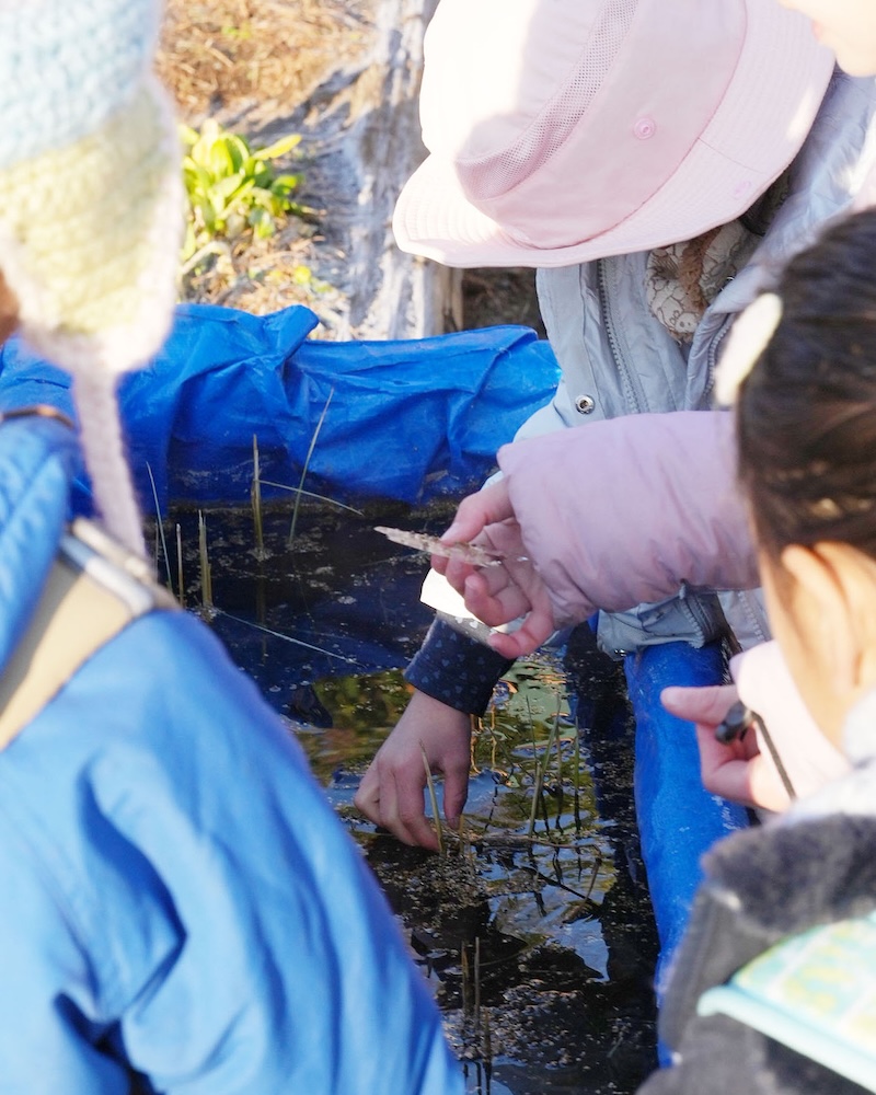 １年　寒い日　氷２