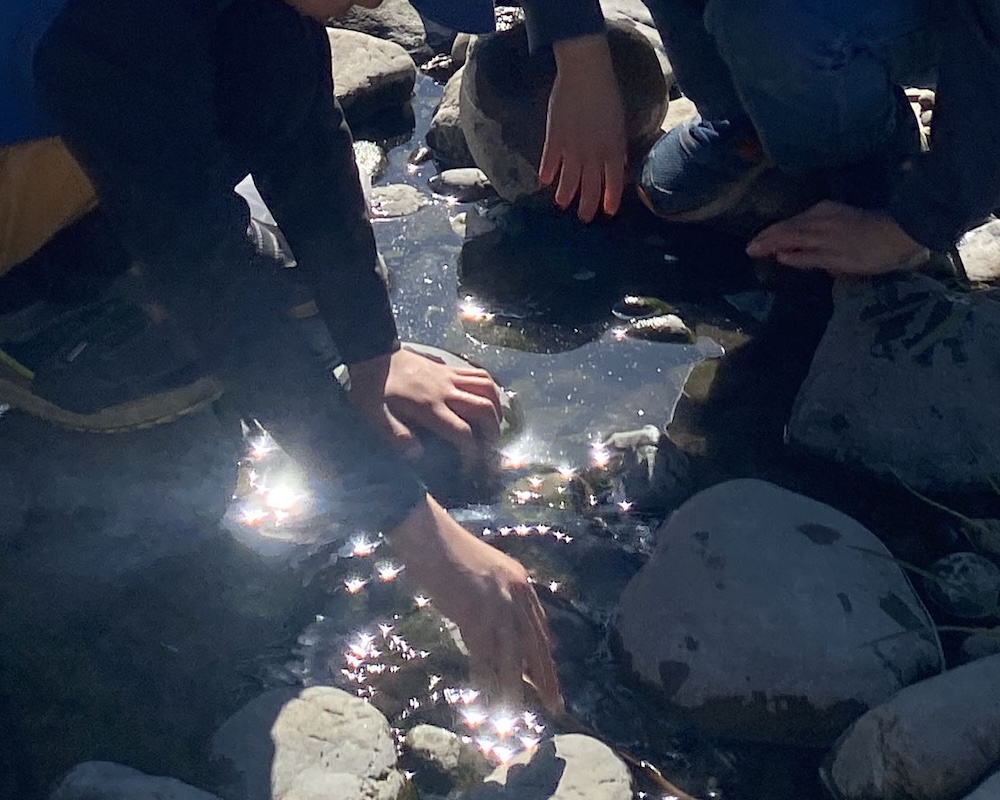 ２年　お散歩　水面