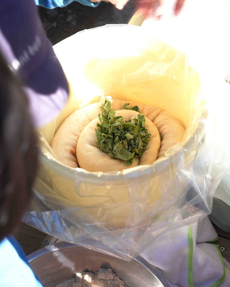 1年　大根漬け　樽の中