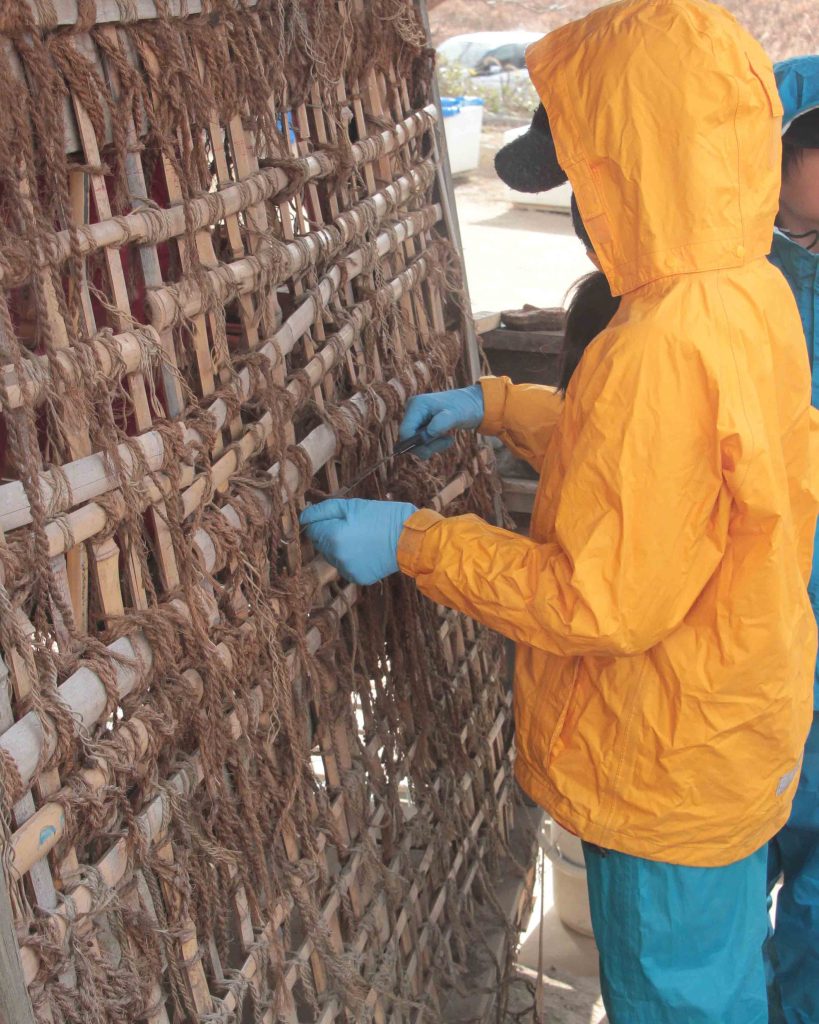 3年　家づくり　下地の調整２
