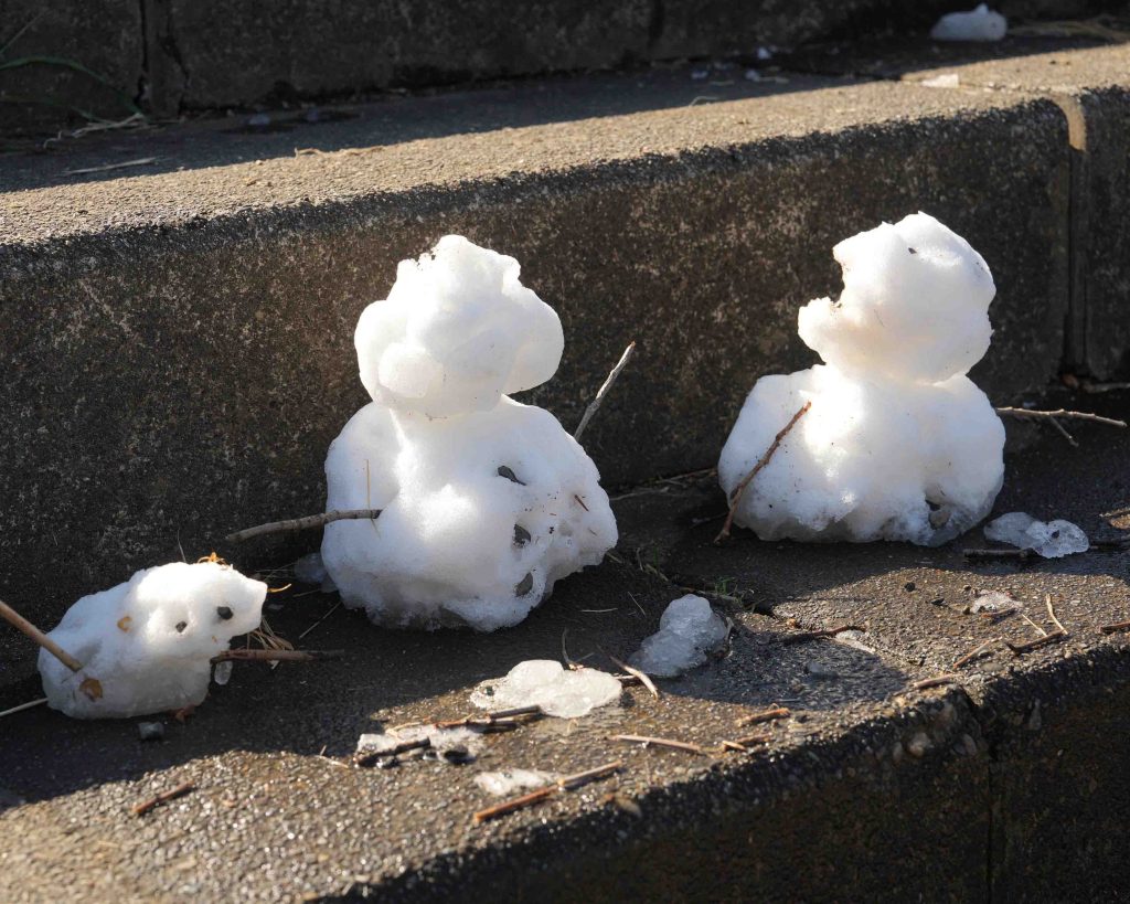 雪遊び　多摩川　雪だるま
