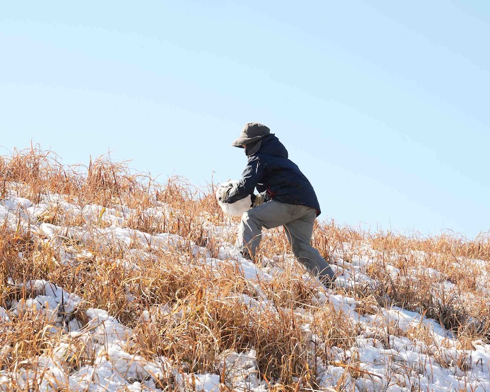 雪遊び　多摩川　1年　雪集め