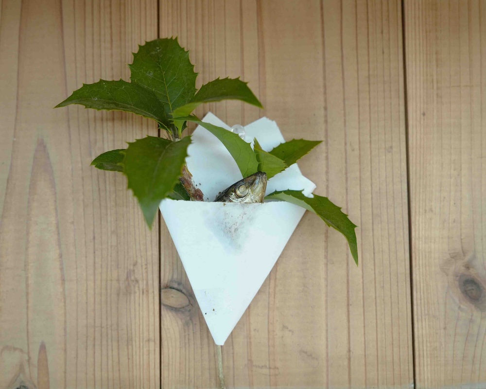 節分　イワシの頭とヒイラギ