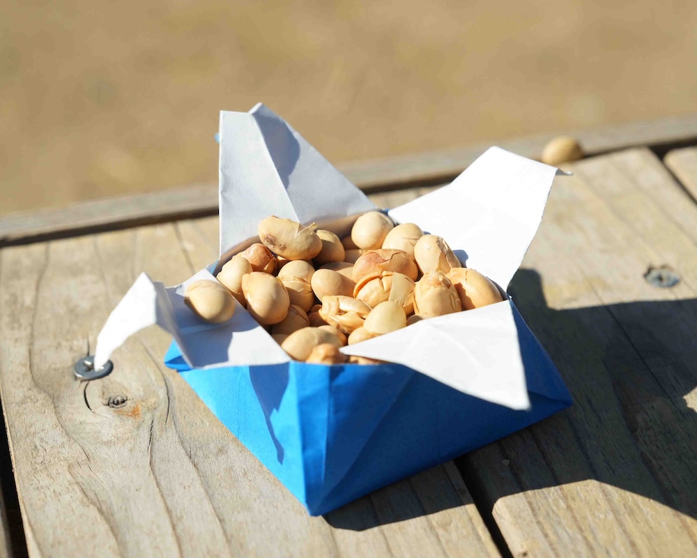 節分　炒り大豆