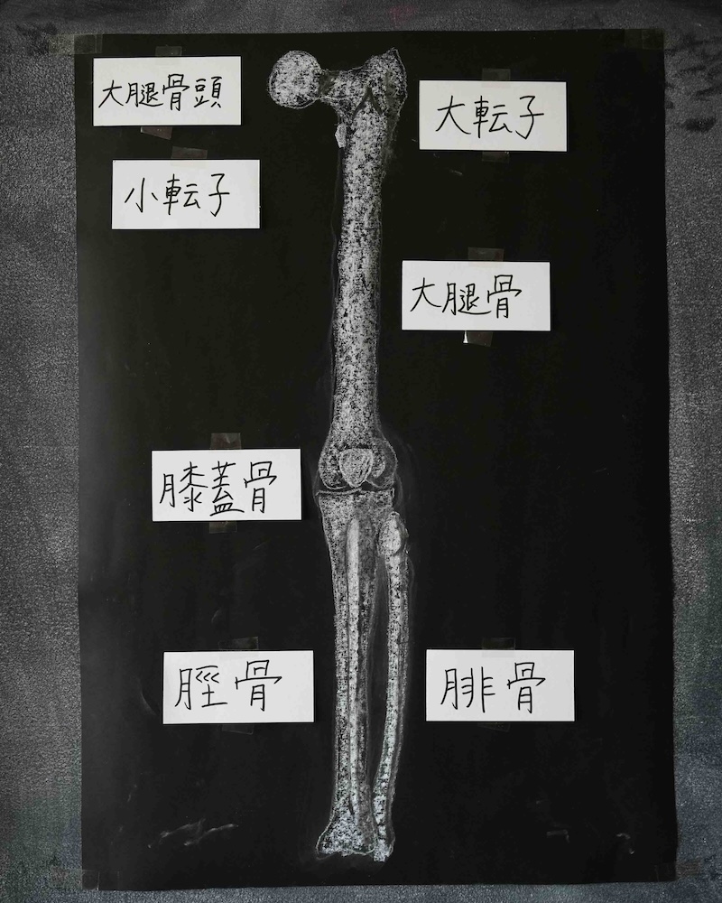 ８年　骨学　黒板画　足