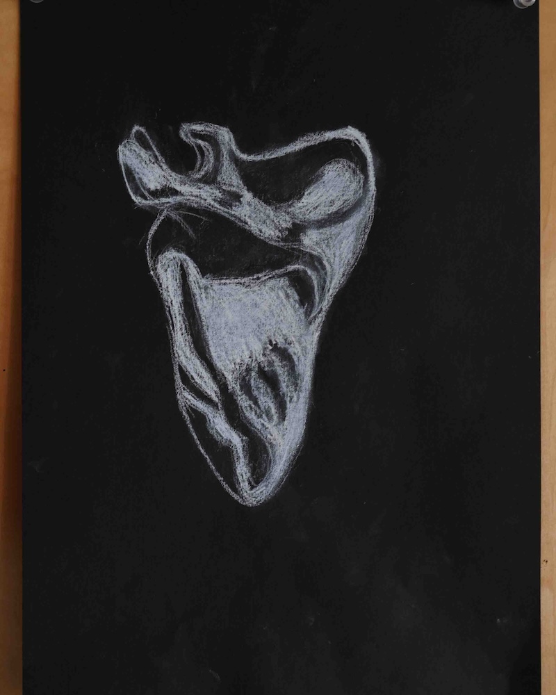 8年　骨学　エポック授業　　
肩甲骨１