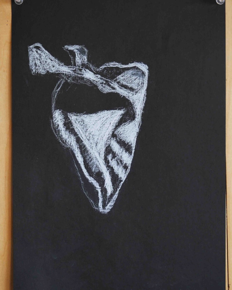 8年　骨学　エポック授業　　 肩甲骨６