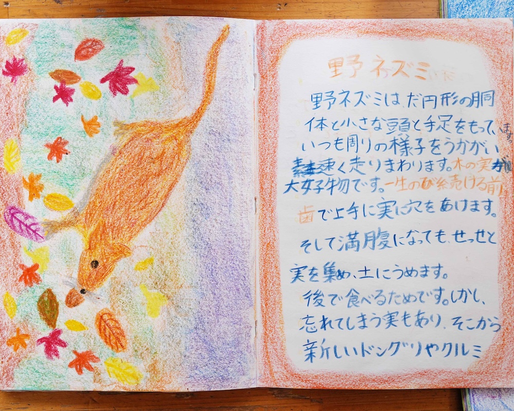 4年　エポックノート　動物学