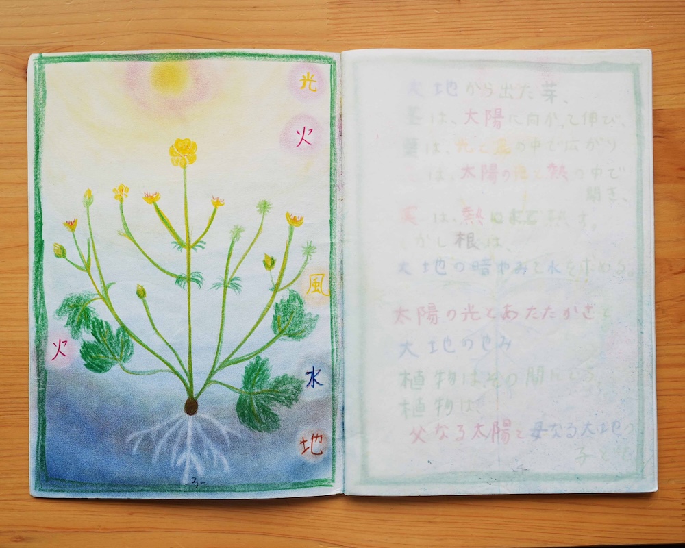 5年　エポックノート　植物学