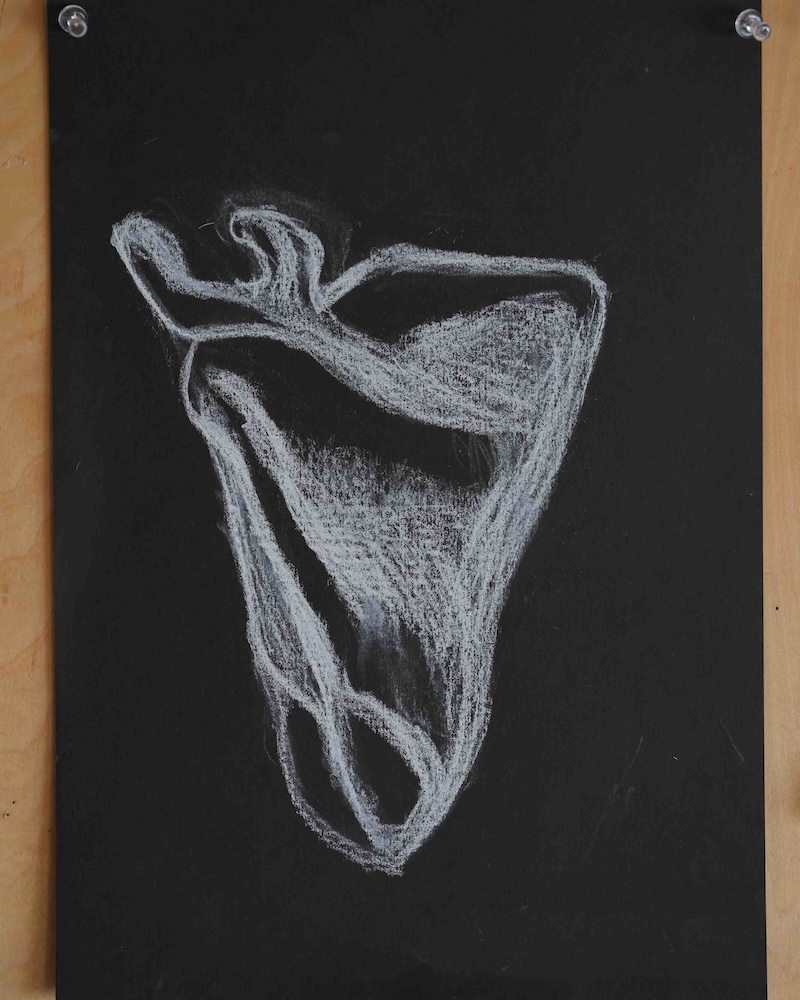 8年　骨学　エポック授業　　 肩甲骨３