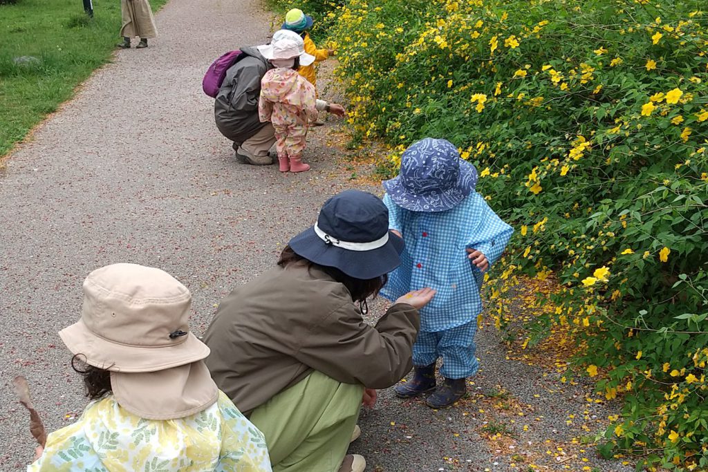 お天気のいい日にお外に散歩。お花がきれいです。